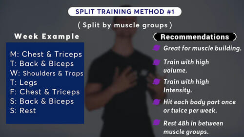 #1 Split Training Method – Split by muscle groups